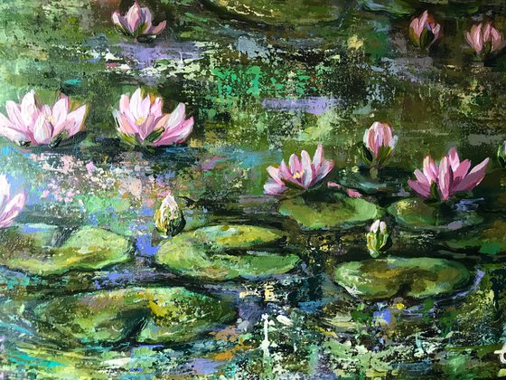 Lilly pond no5