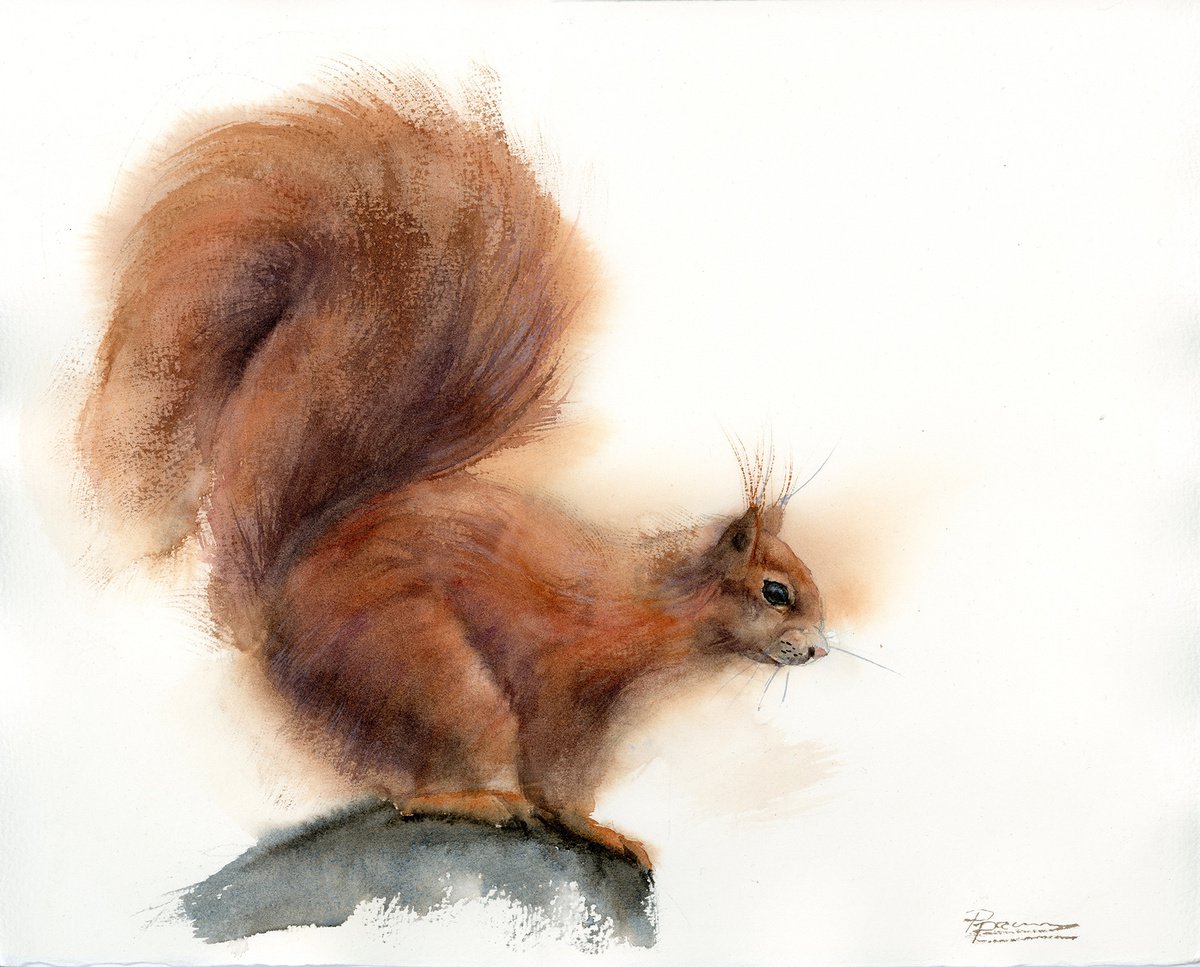 Impressionistic Animal Watercolour By Olga Tchefranov (Shefranov), 15 X 12", Red Squirrel, Original Artwork