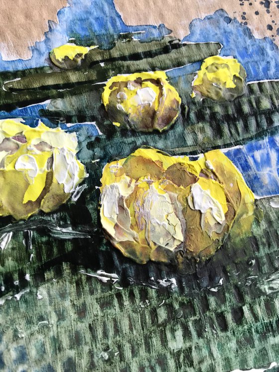 Water lilies in yellow 1