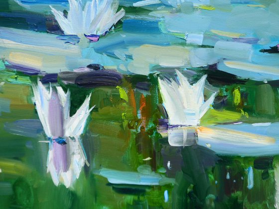 "Water Lilies "