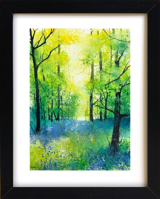 Woodland with Bluebells