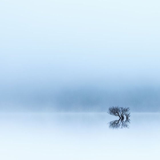 Lost in the mist.....