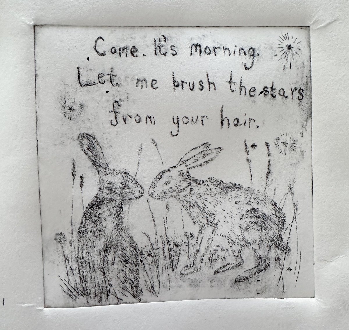 Illustrative Animal Etchings & Engravings By Victoria Lucy Williams, 7 X 9", Starry Morning, Original Artwork