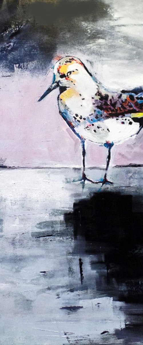 Sandpiper,  Cley Marshes, Norfolk by Irene Wilkes