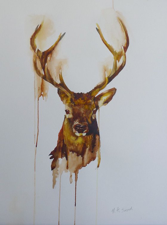 Stag Head