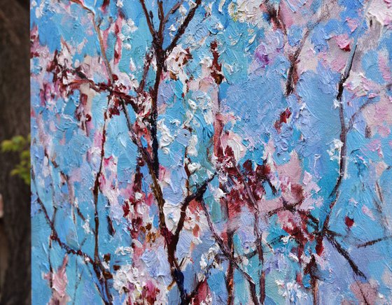 Flowering apricot tree - Original oil painting