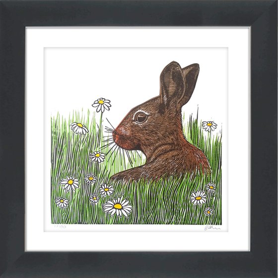 Summer daze (Rabbit in a daisy / wildflower meadow linopint) Ready to hang