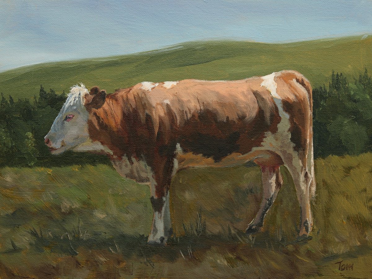 Animal Oil Painting By Tom Clay, 9 X 7", Swiss Fleckvieh Cow, Original Artwork