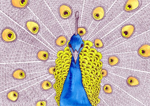 Peacock by Terri Smith
