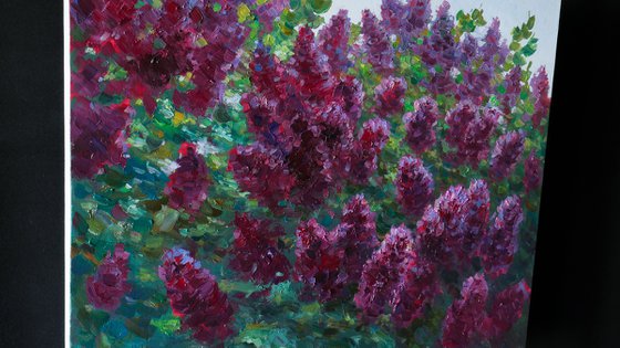 Branches Of Lilacs