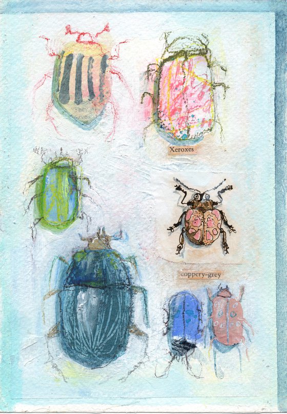 Bug Collection #09