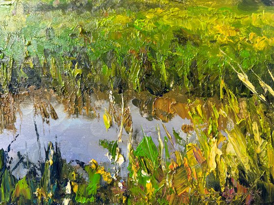 The Rice Fields