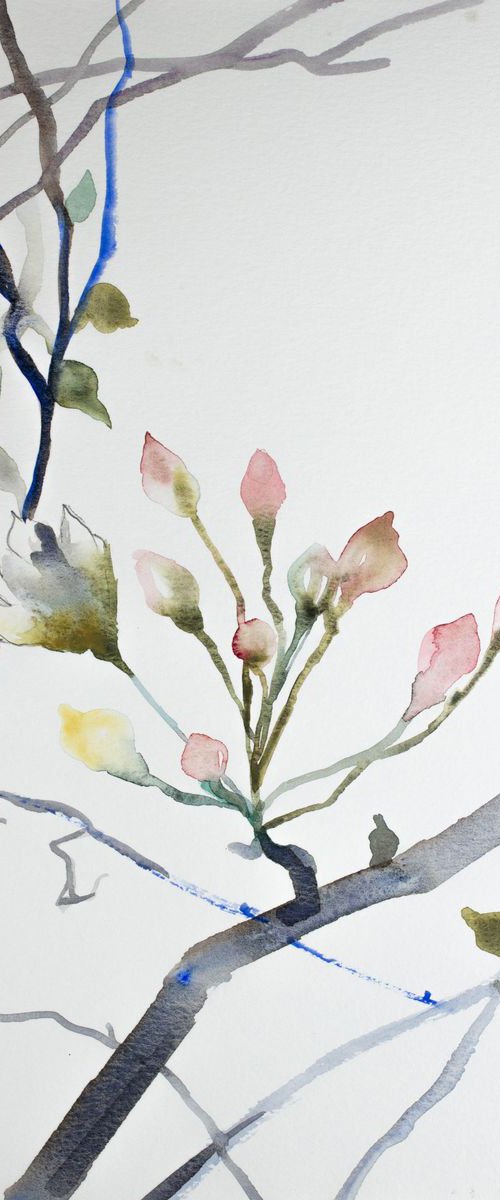 Cherry Blossom No. 7 by Elizabeth Becker
