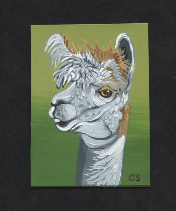 ACEO ATC Original Miniature Painting LLama Farmyard Art-Carla Smale