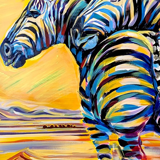 Zebras Africa