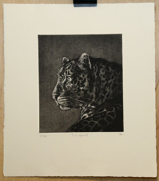 African Leopard etching