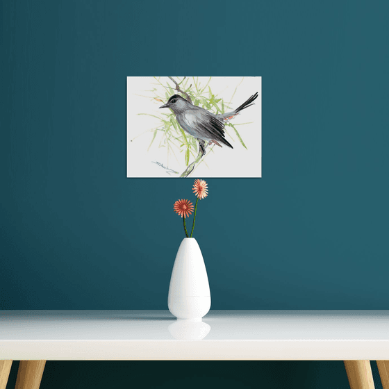 Gray Catbird, Bird artwork