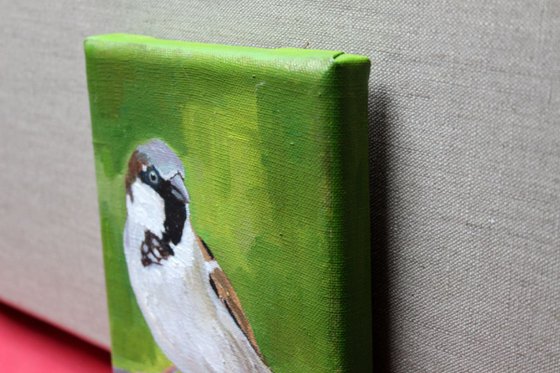 Spring Sparrows  #1