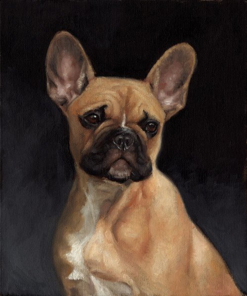French Bulldog by Kate Oleska