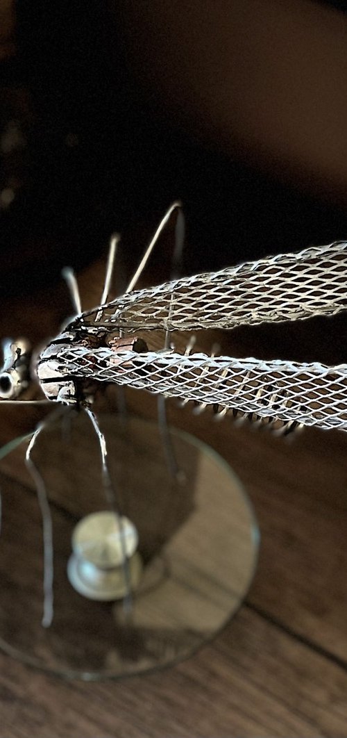 Mosquito by Aghvan Sahakyan
