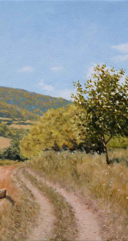 Through the trough by Dejan Trajkovic