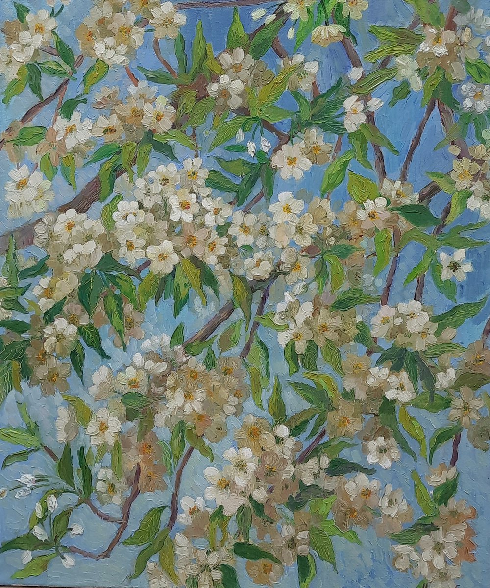 Blossoming pear branches - Original oil painting (2020) by Svetlana Norel