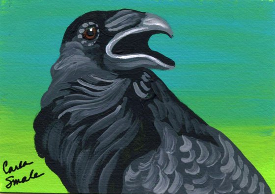 Crow Raven