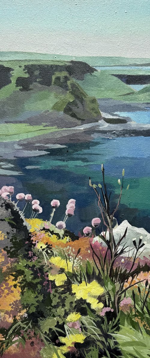 Wildflowers On The North Coast by Joseph Lynch