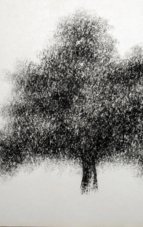 Dessin au fusain, Etude d'arbre by Lionel Le Jeune