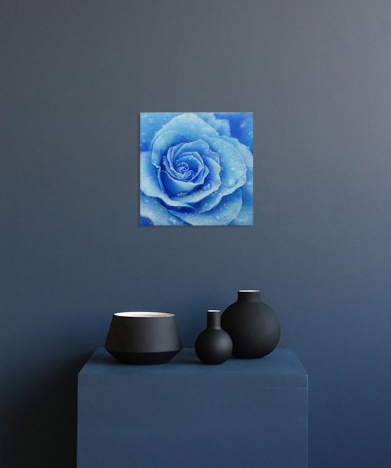 Rose. Blue Rose!