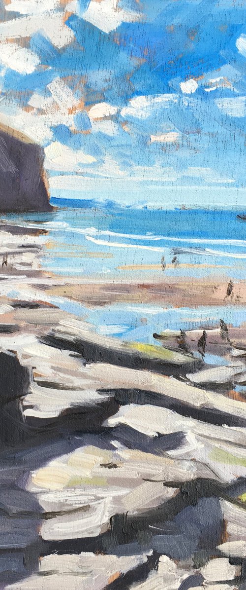 Trebarwith Strand spring by Louise Gillard