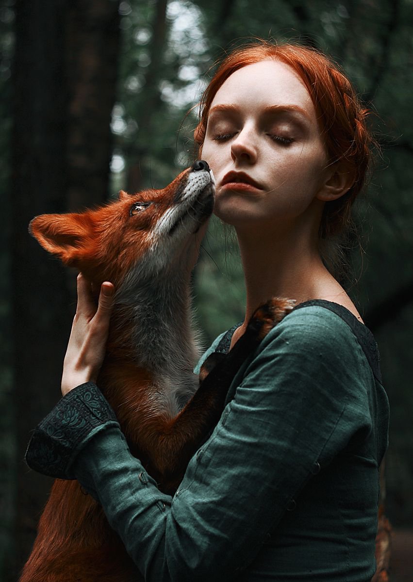 Foxes by Alexandra Bochkareva