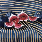 Fig