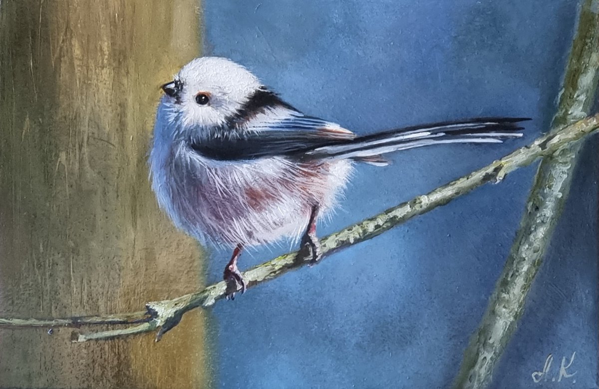 Small bird. bird jay 2021 by Anna Kotelnik