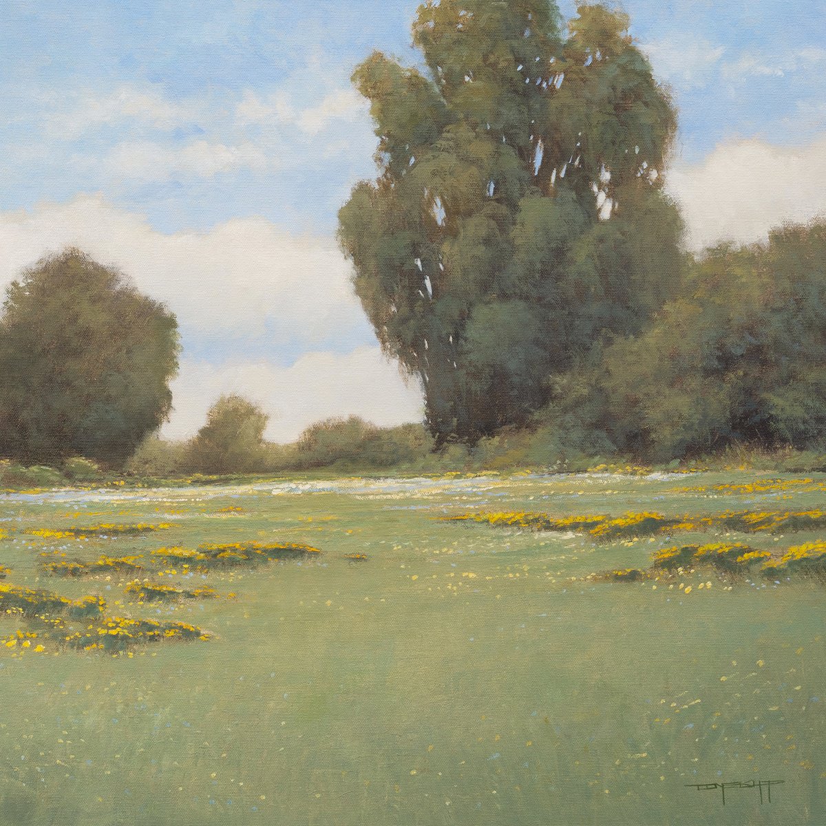 Impressionistic Landscape Oil Painting By Don Bishop, 20 X 20, Golden Wildflowers 250225, Original Artwork