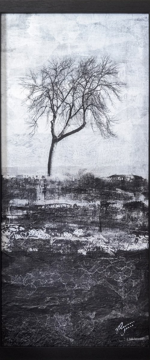 Unwavering by Roseanne Jones