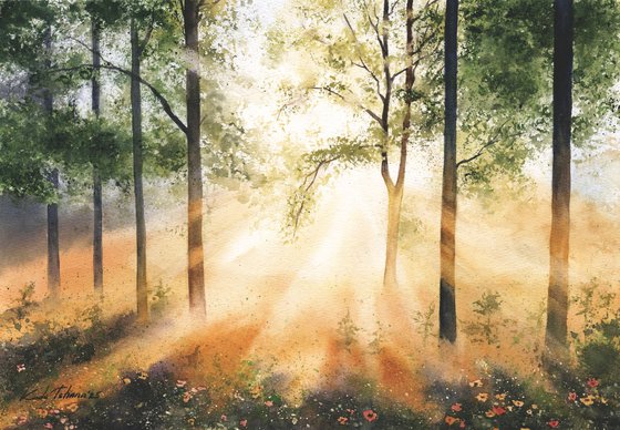 Morning Light in the Forest