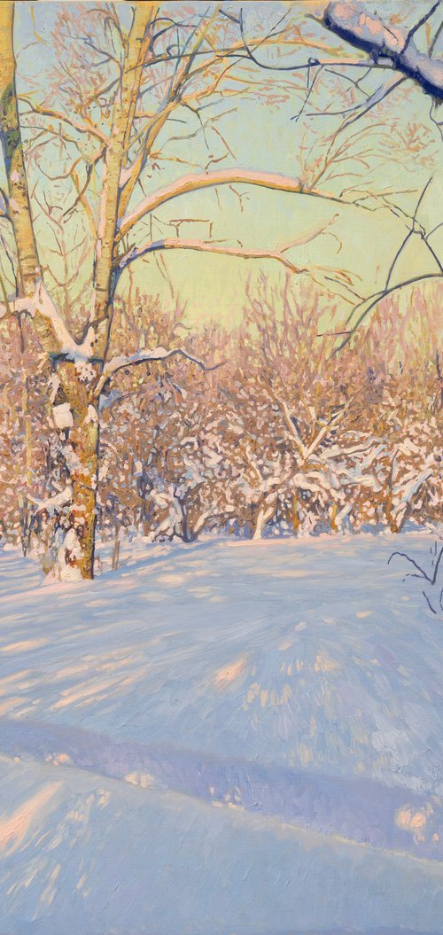 Poplars in February. Tsaritsyno by Simon Kozhin
