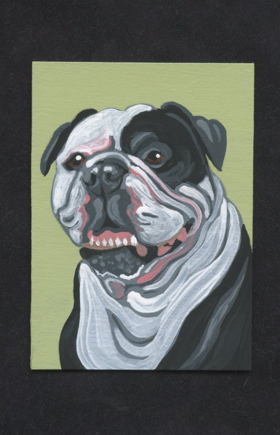 ACEO ATC Original Miniature Painting Olde English Bulldogge Pet Dog Art-Carla Smale