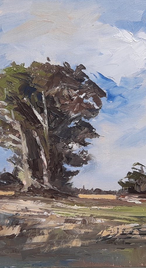 Tree study by Steve Keenan