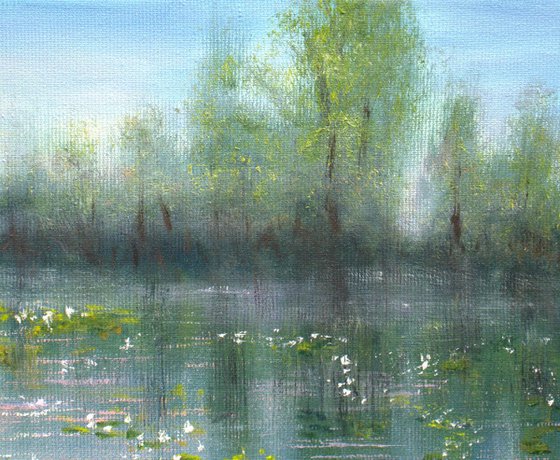 Lilies pond