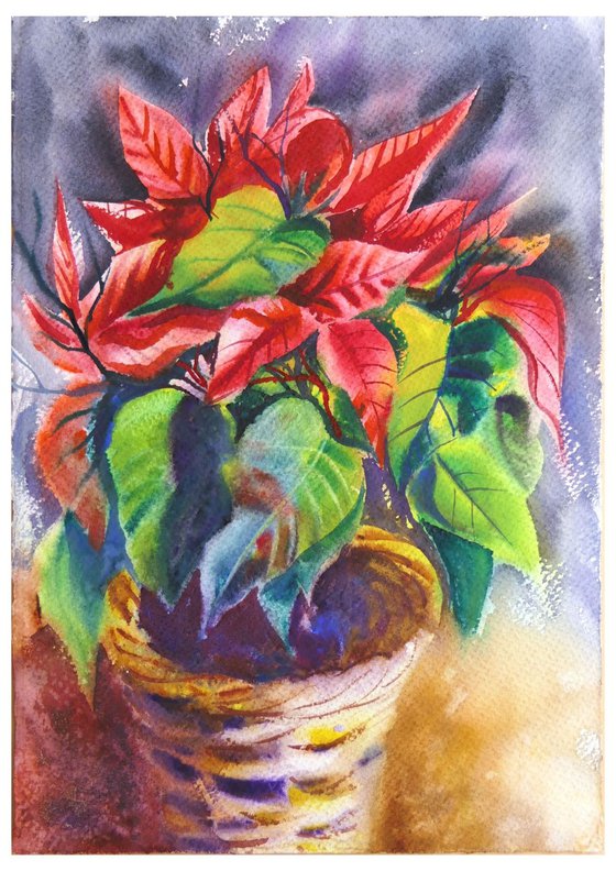 Red Flowers Poinsettia in a Pot Original Watercolor Painting Christmas Flower Aquarelle