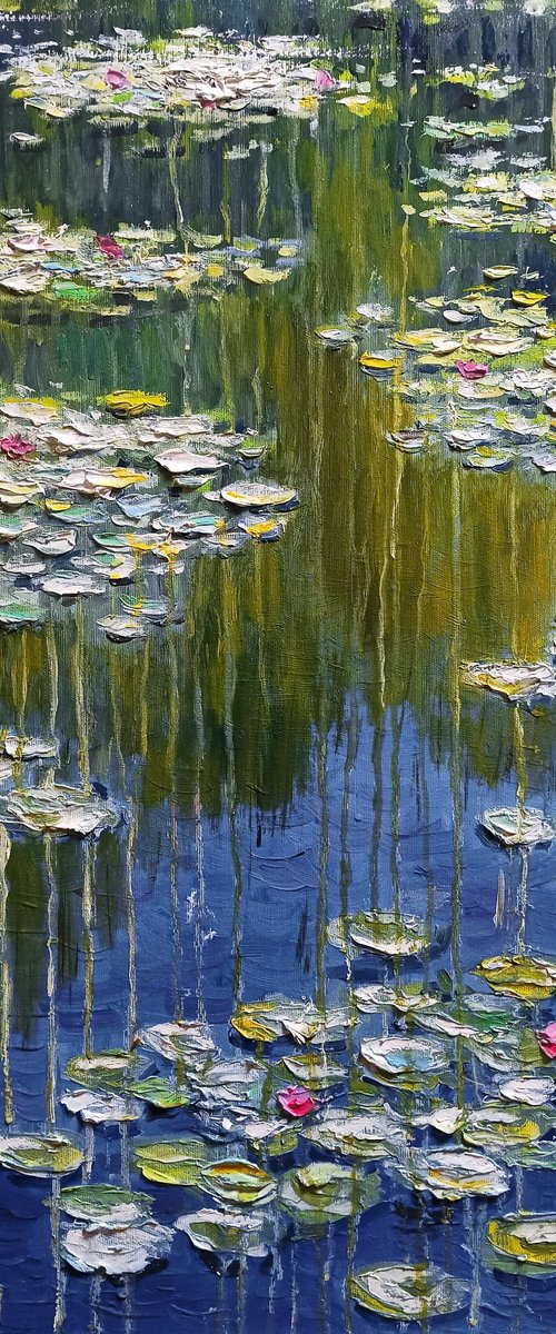 Impression. Water lilies by Oleh Rak