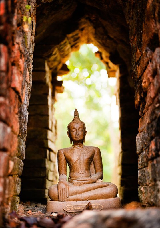 Buddha in temple ruin