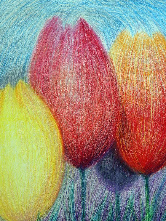 Tulips White 2