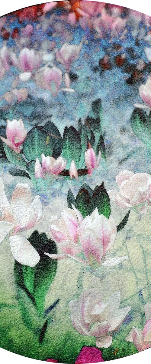 Magnolia (diapositive) by Karin Vermeer