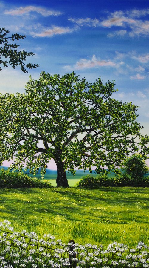 A Summer Morning by Hazel Thomson