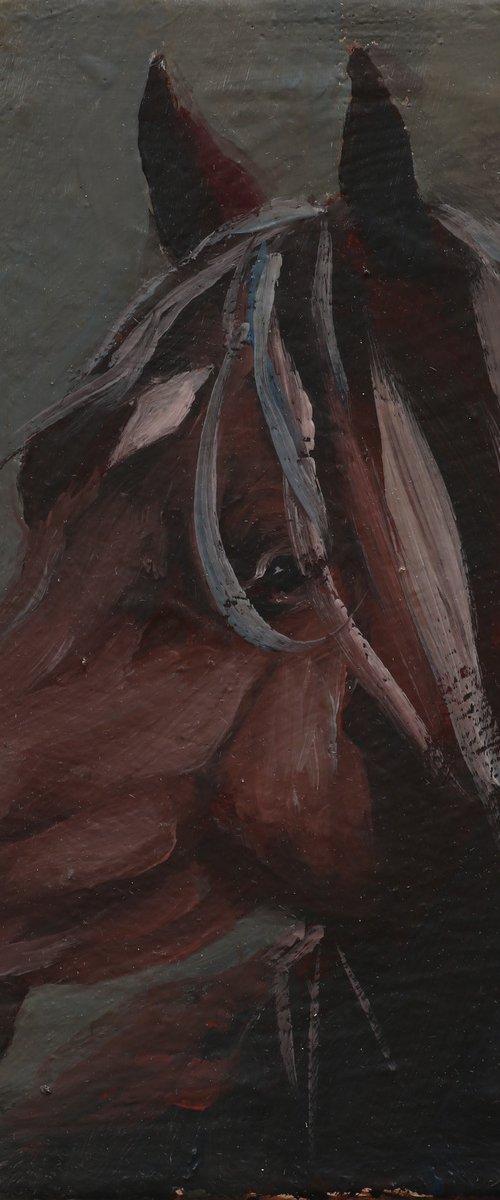 Equine Head Arab Chestnut (study 185) by Zil Hoque