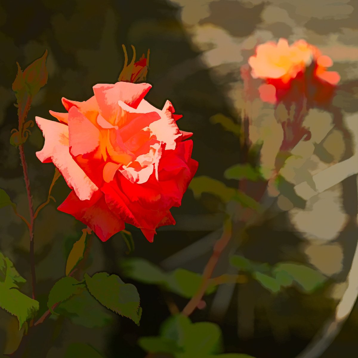 Impressionistic Botanical Photograph By Nick Psomiadis, 43 X 43", Silent Elegance, Original Artwork