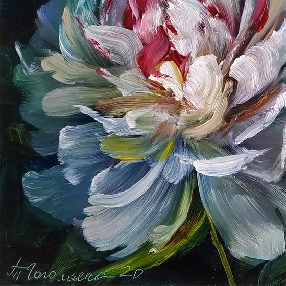 White Peony Portrait